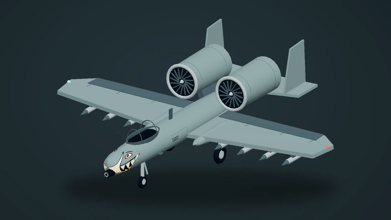 A–10 Warthog aircraft